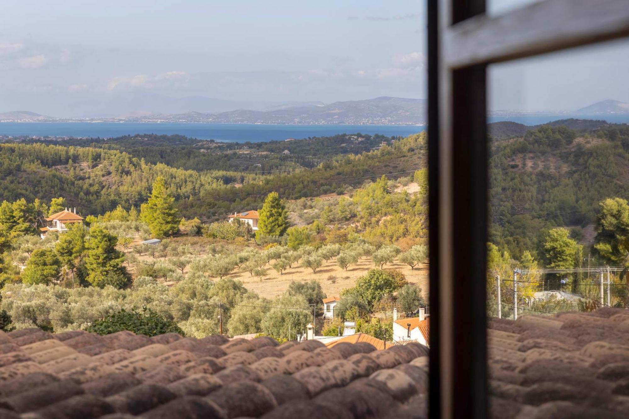 Markopoulon Oropou Villa Marrone Splendid Seaview מראה חיצוני תמונה